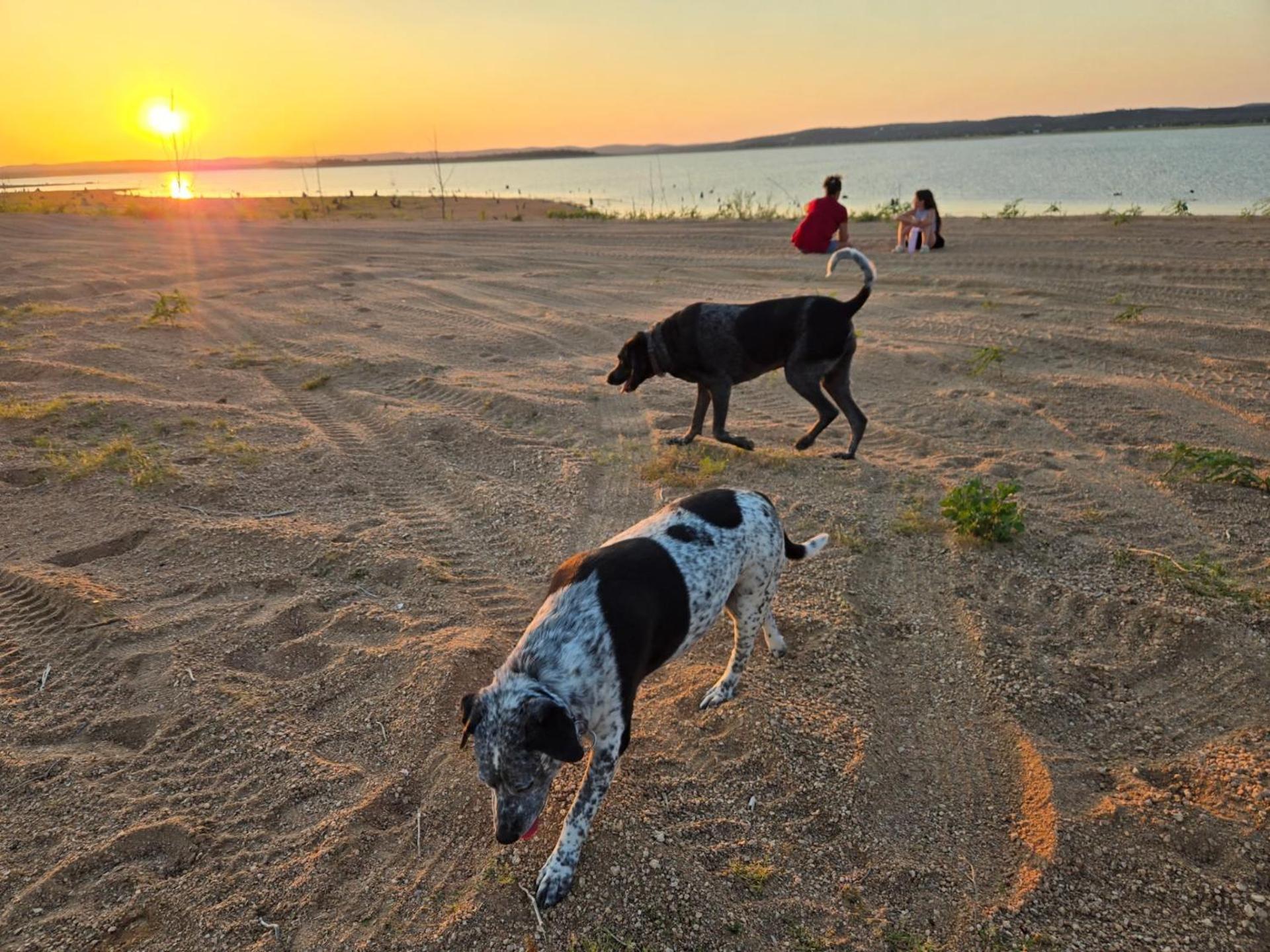 Oasis Lake Buchanan Bluffton Ngoại thất bức ảnh